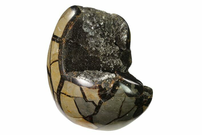 Polished Septarian Geode Sculpture - Barite Crystals #137933